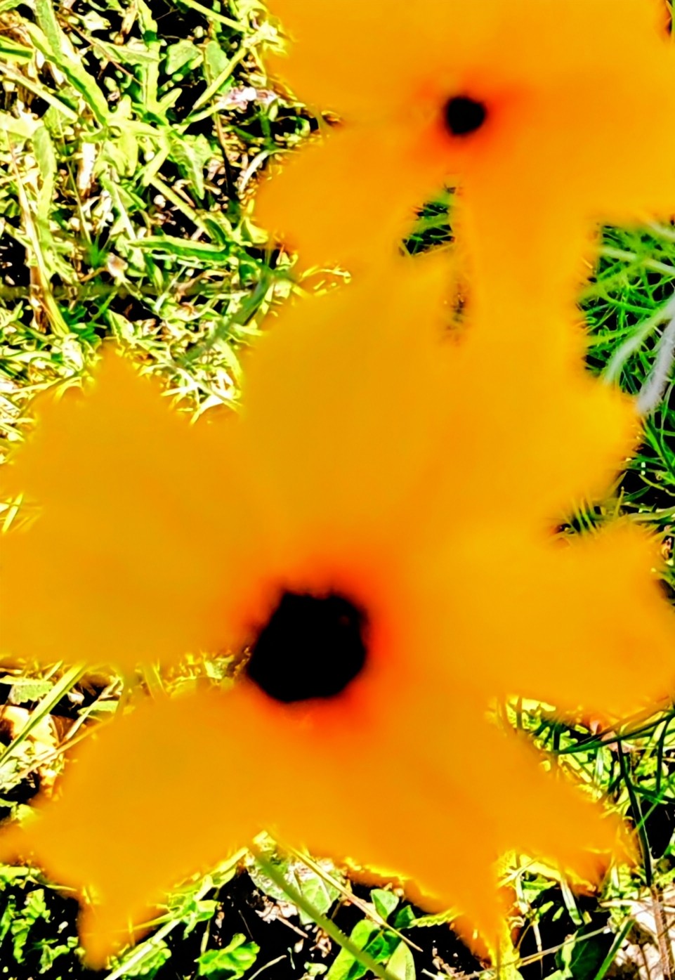 Sunflowers In Vase Premium Bodycon Dress - Impressionist Collection